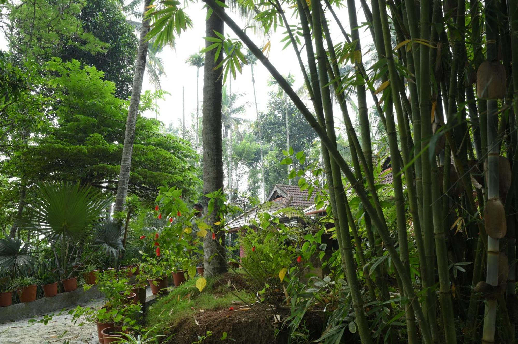 Coffee Island Resort Kaniyāmbetta 외부 사진