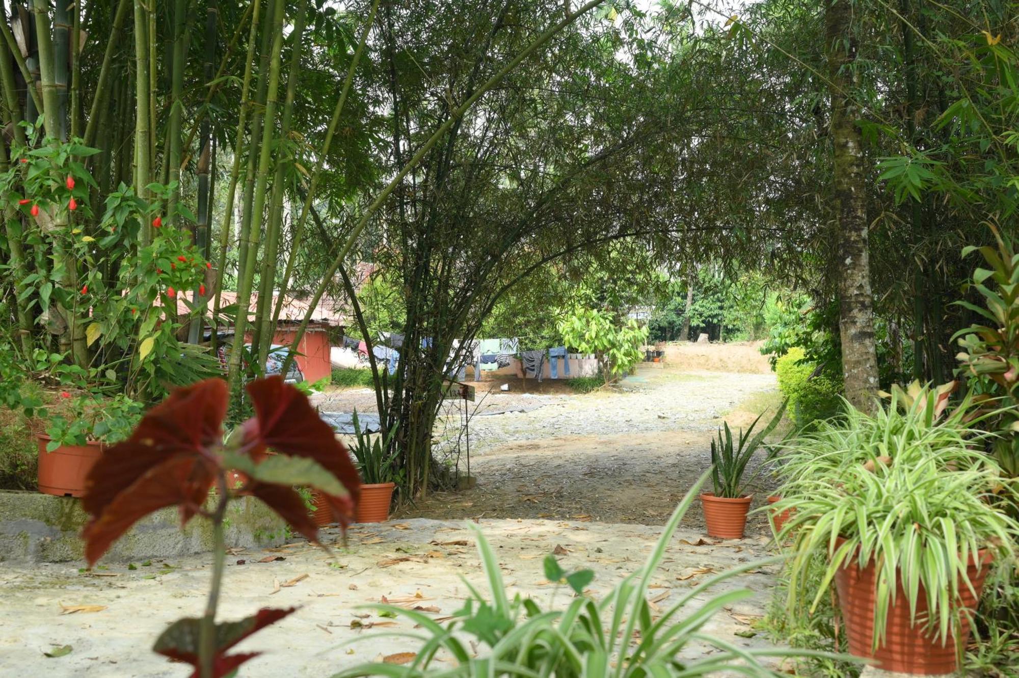 Coffee Island Resort Kaniyāmbetta 외부 사진