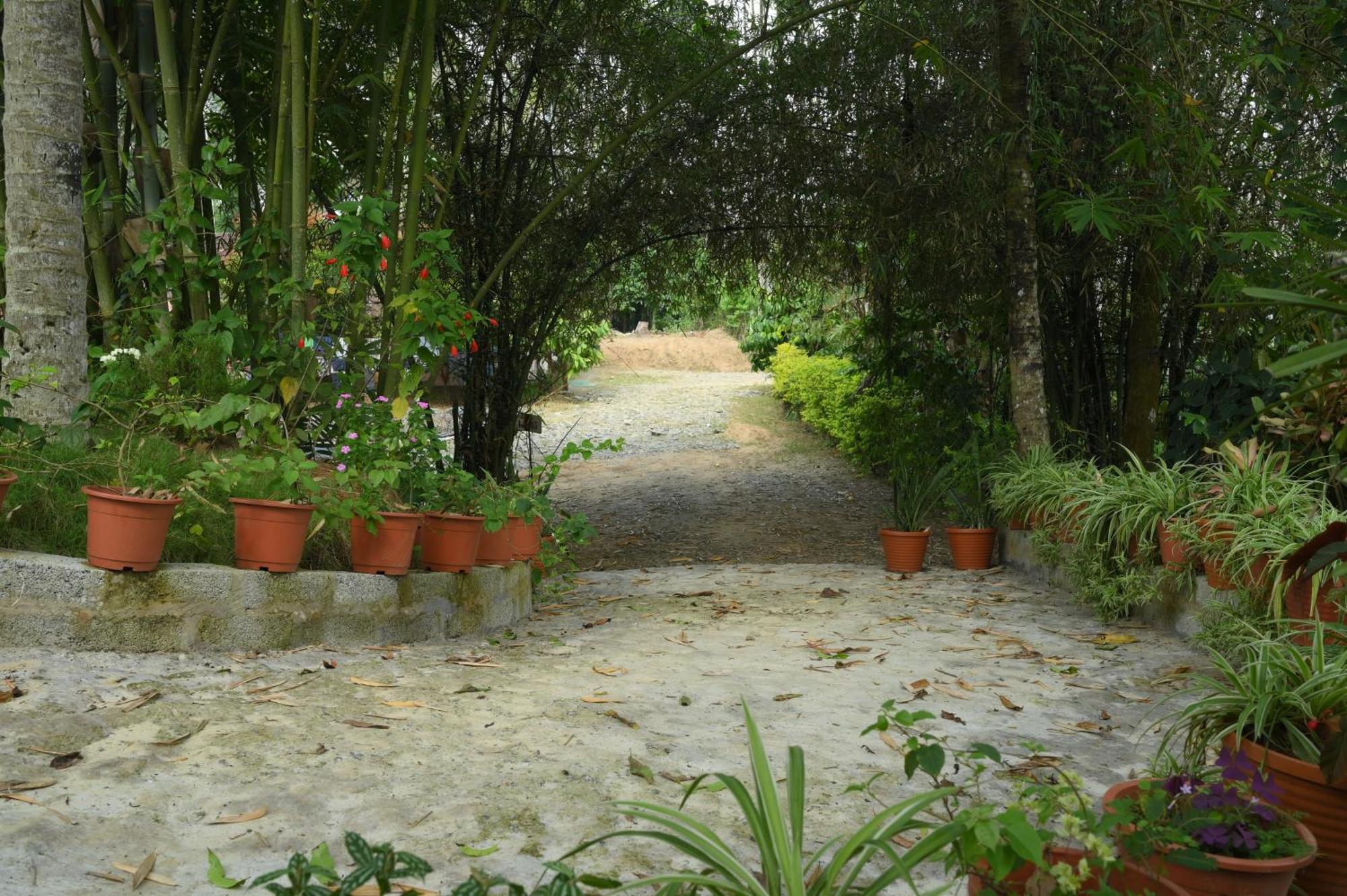 Coffee Island Resort Kaniyāmbetta 외부 사진